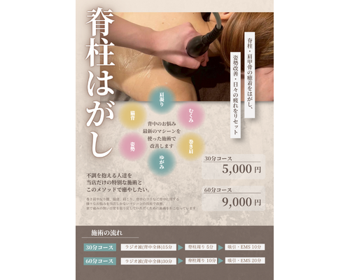 くすみカラー 落ち着き 美容整体 メニュー紹介 A4チラシ