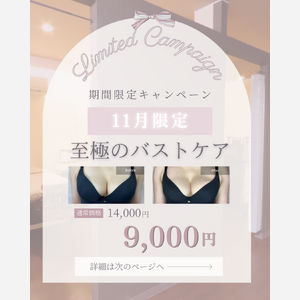 11月バスト