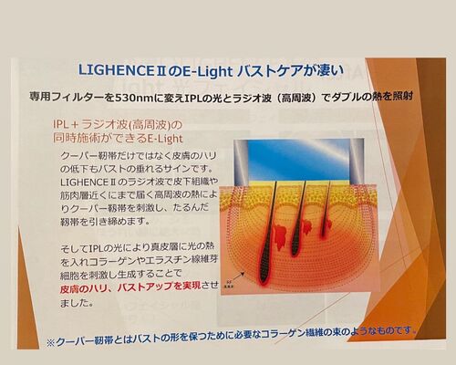 7753646F-232F-471D-BBD4-59F019A19E0D